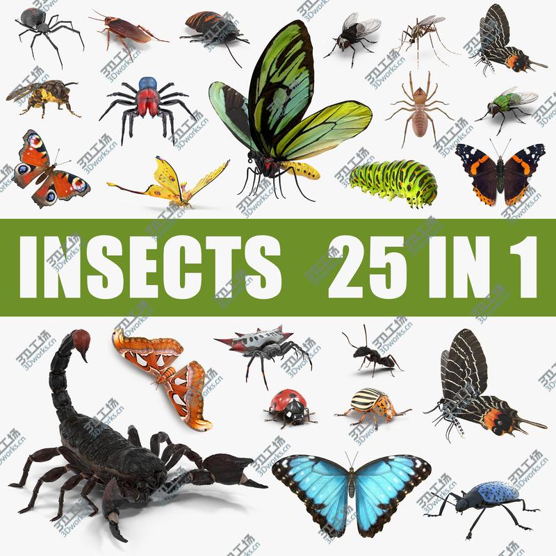 images/goods_img/20210319/Insects Big 3D Models Collection 3D model/1.jpg